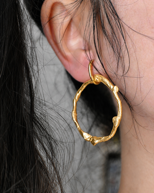 Daily loopie